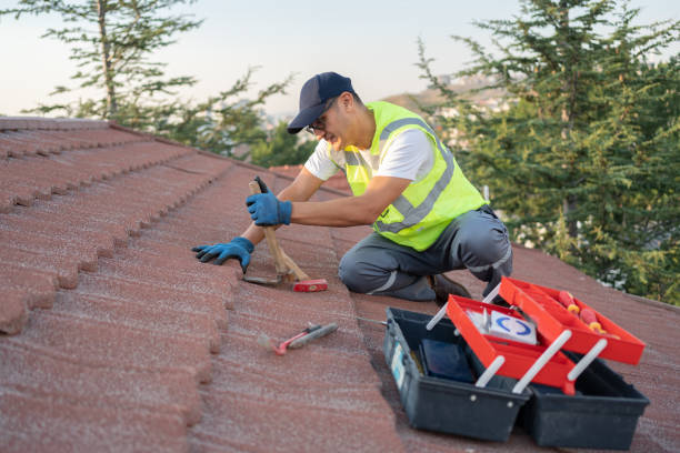 Best Commercial Roof Installation  in Lely Resort, FL